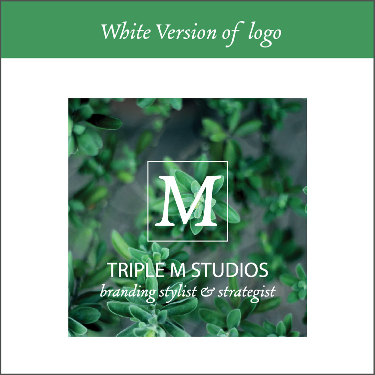 White Version of logo / Watermark - There are times where your logo will need to be on top of images or colored backgrounds. A white version of your logo will be provided in the files I give you in this package deliverables for this reason.